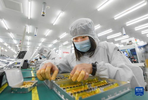 靠譜服務驅動技術創新，標準引領未來——一家光通信企業的出海秘籍